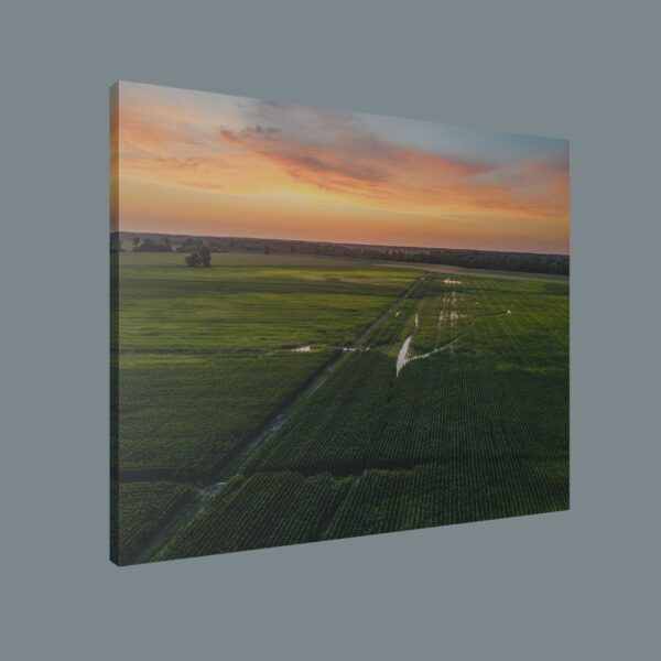 Vidalia Farmland at Sunset – 10"x8" Canvas